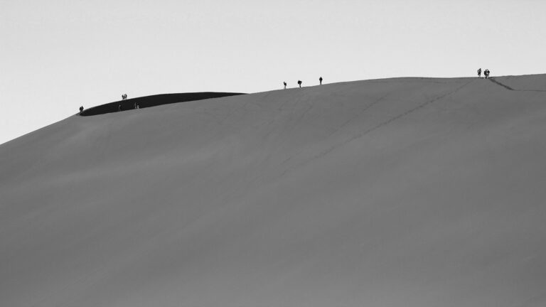 Kamel Zuzana - kamel-zuzana-Dune-top